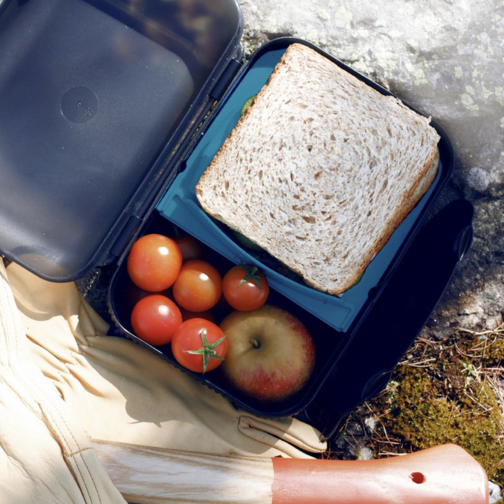  Tupperware Snackpack Blauw