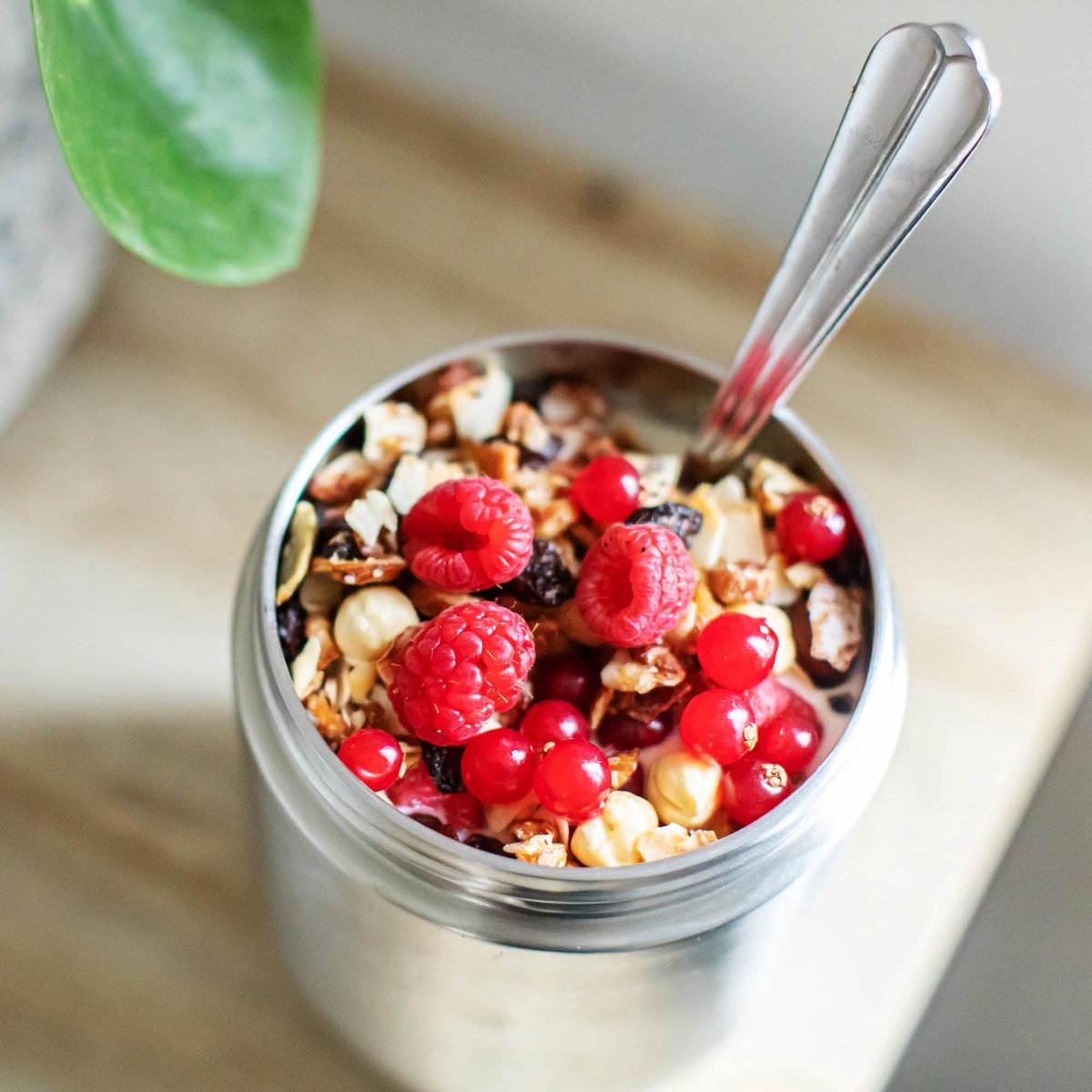  Coninx Thermos Lunchbox - Muesli Beker To Go - Isoleer Lunchpot - Yoghurtbeker To Go - Mueslibeker 840ml (600ml+240ml) - RVS