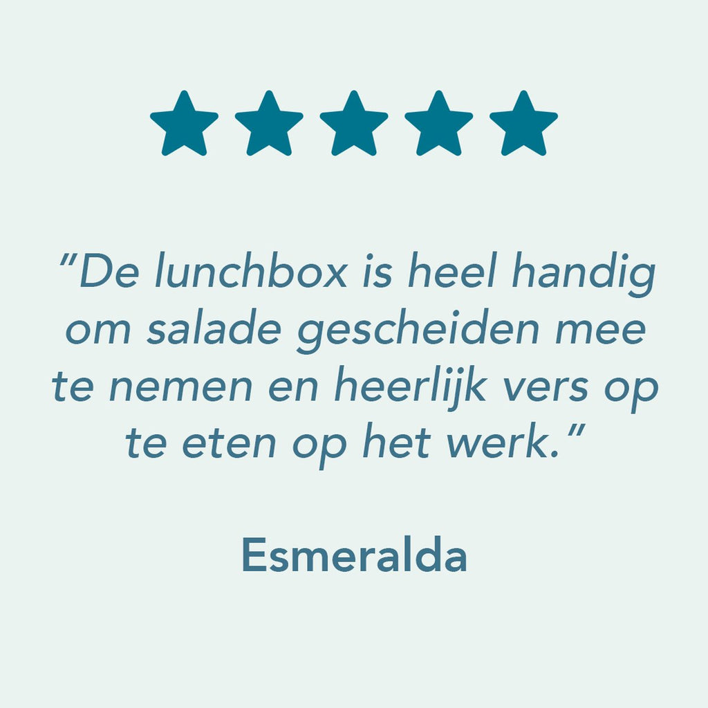  Lock&amp;Lock Saladebox - Salade Lunchbox To Go - Salade To Go - 950 Ml - Lekvrij - Met Verdeelvakjes - Groen