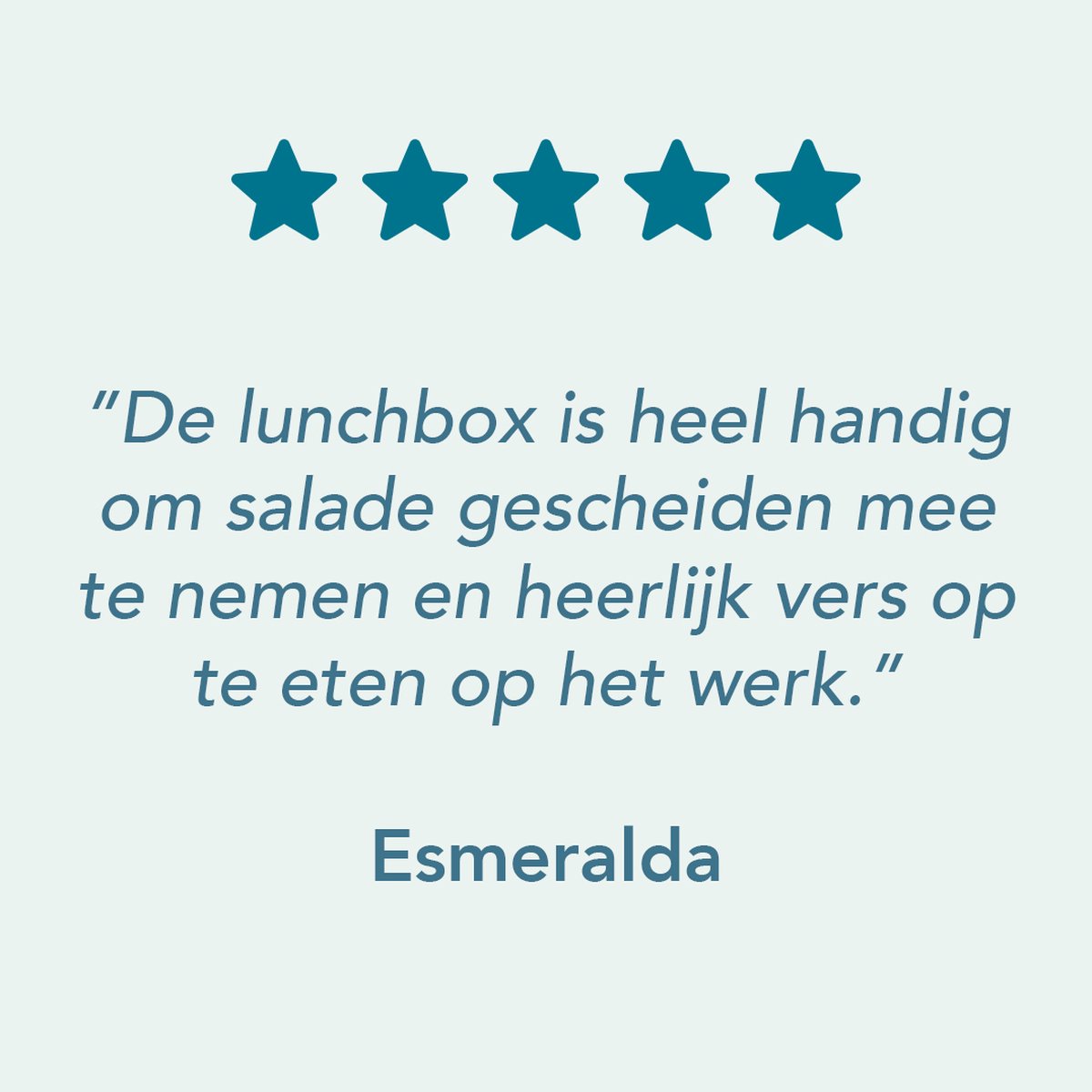  Lock&amp;Lock Saladebox - Salade Lunchbox To Go - Salade To Go - 950 Ml - Lekvrij - Met Verdeelvakjes - Groen