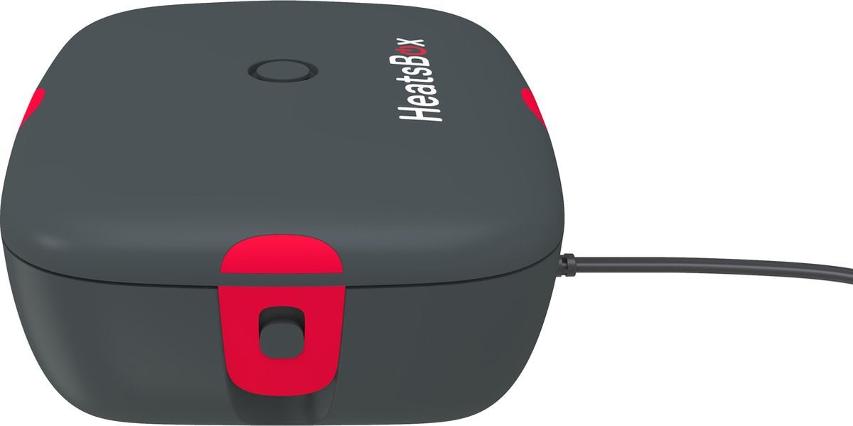  Faitron HeatsBox Style - Elektrische Lunchbox - Lunchbox Volwassenen - RVS - Verschillende Elektrische Compartimenten - 220V - Lunchtrommel Voor Warme Maaltijden