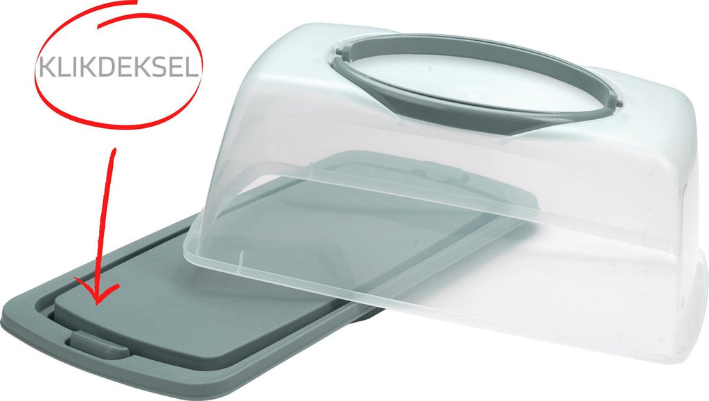 Merkloos Spesely® Pastel Groen Taart Bewaardoos Met Deksel En Inklapbare Handgrepen - Rechthoek - 39x19xH15cm - Vershouddoos - Transparant - Opbergdoos Taart - Taartdoos - Cakedoos - Taartdoos Met Deksel - Boîte à Gâteaux