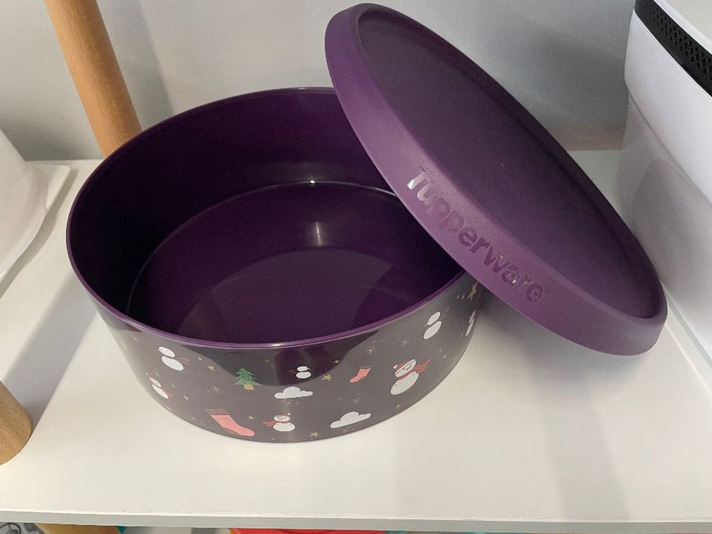  Tupperware Koekjesdoos "winter" (grote Versie