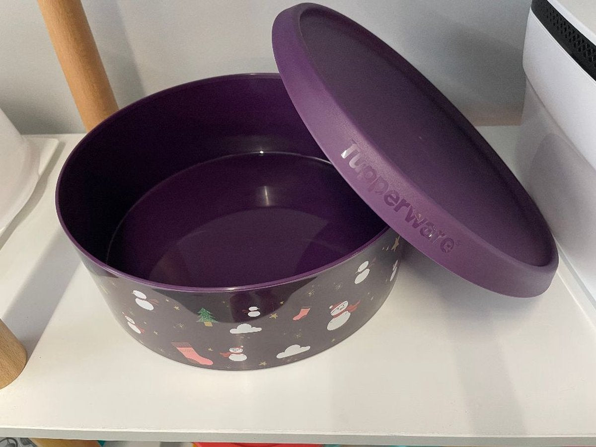  Tupperware Koekjesdoos "winter" (grote Versie