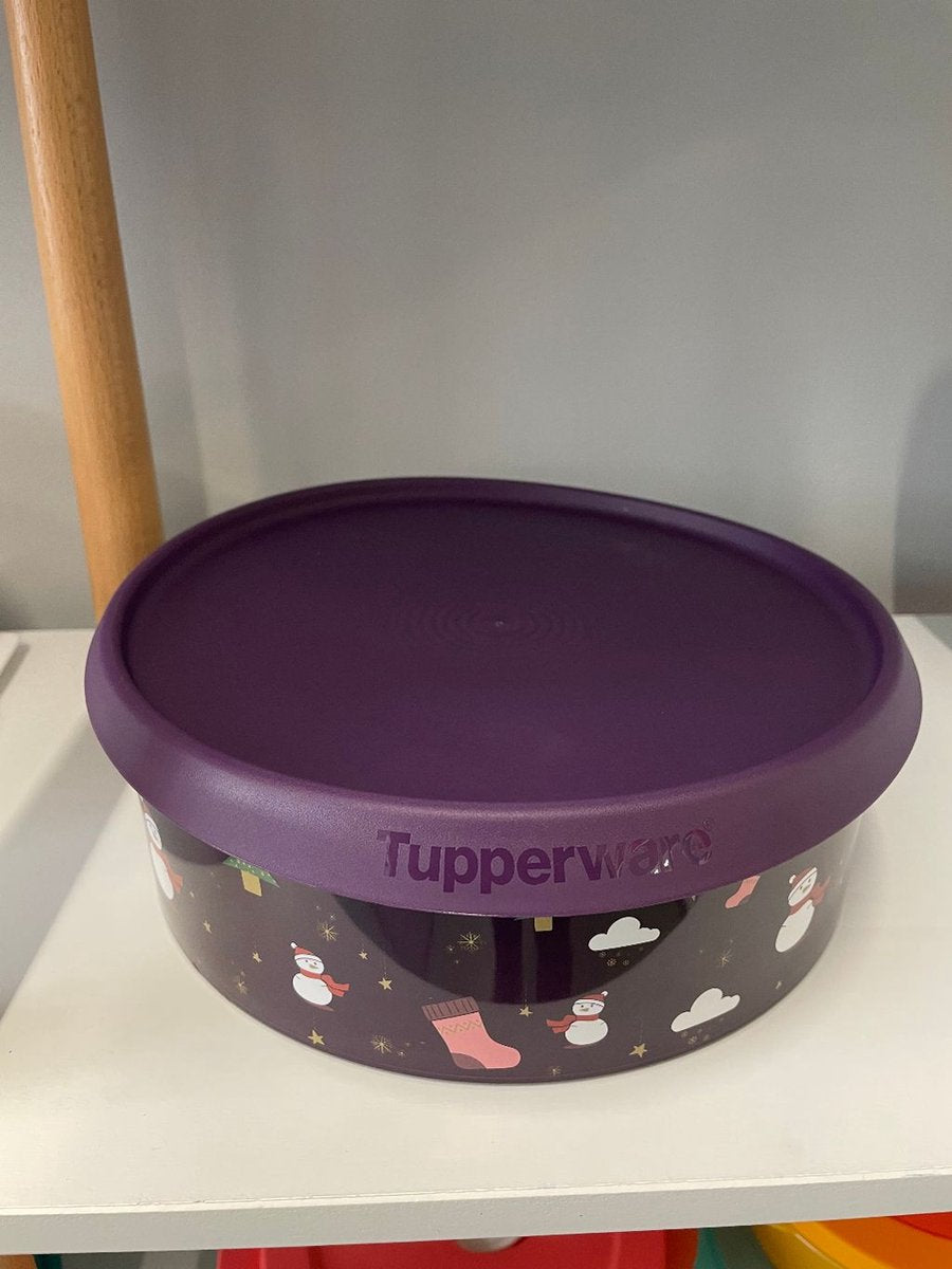  Tupperware Koekjesdoos "winter" (grote Versie